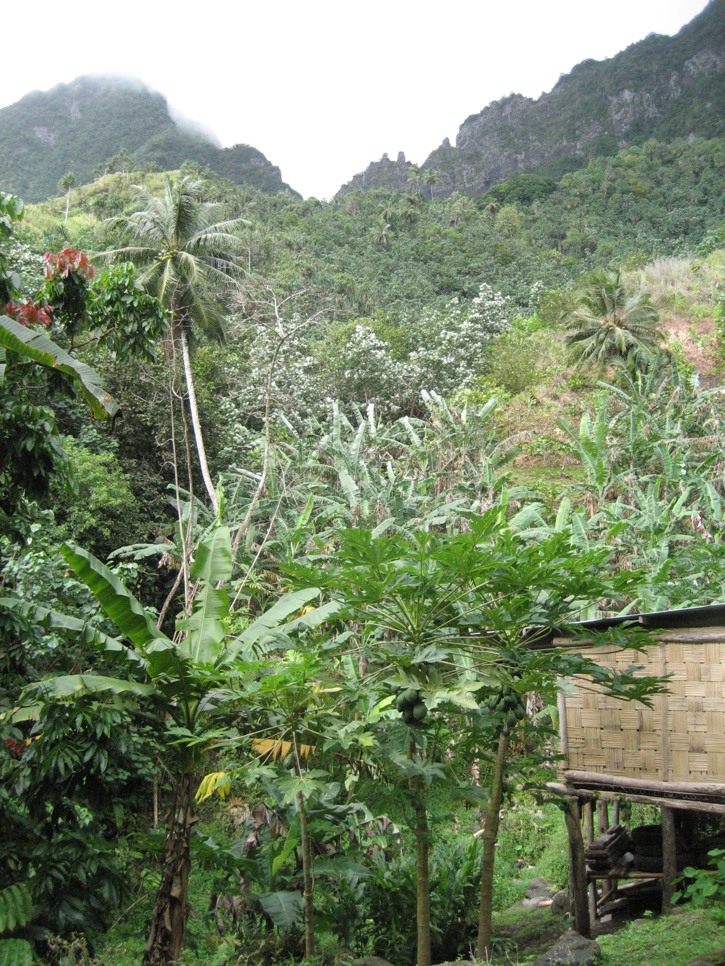 Mauliola - Another South Pacific crossing