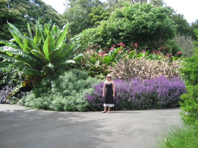 Kya - Sydney Botanical Gardens