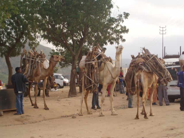 Eritrea