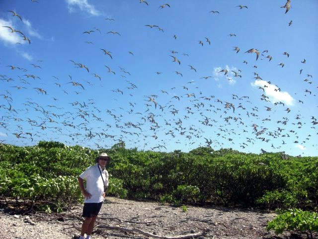 "Free Spirit" in Northern Cook Islands