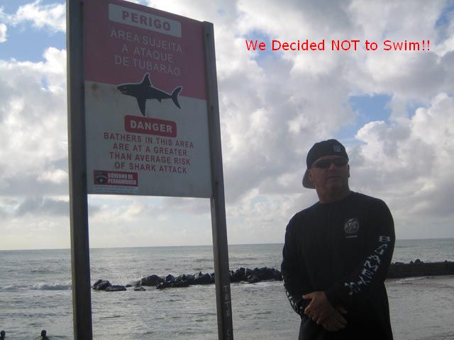We Decided Not to Swim! Sharks!