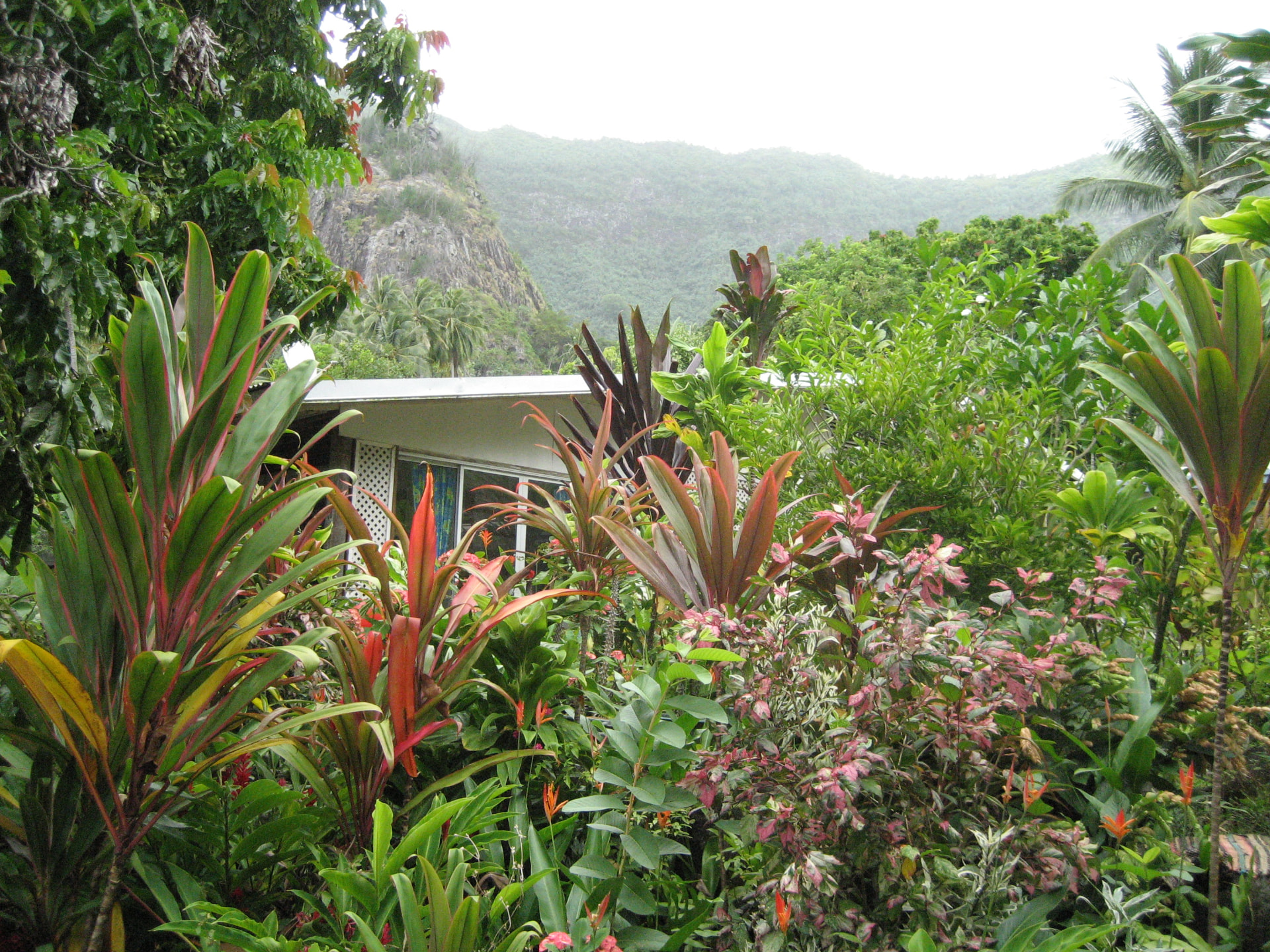Mauliola - Another South Pacific crossing
