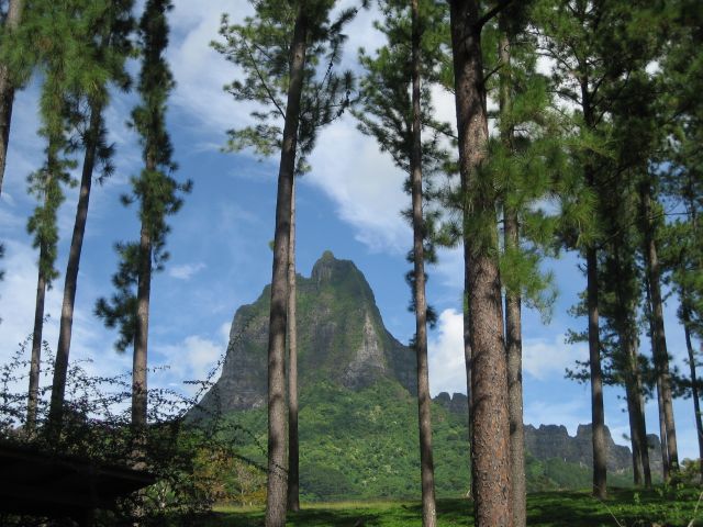 Moorea, while hiking
