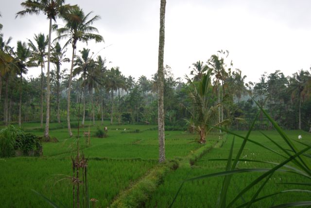 Bali Indonesia