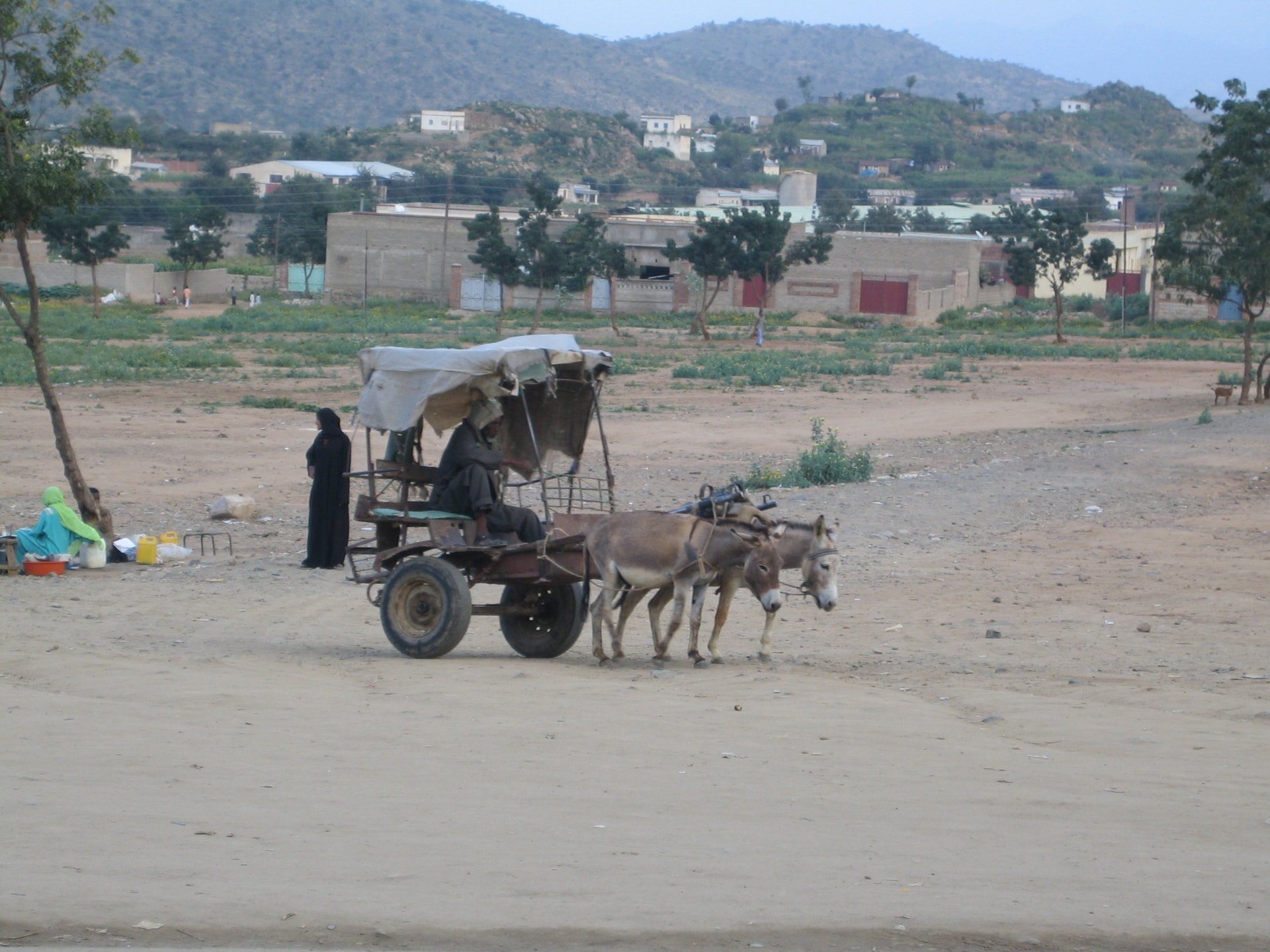 A donkey cart heading home in the evening, Eritrea