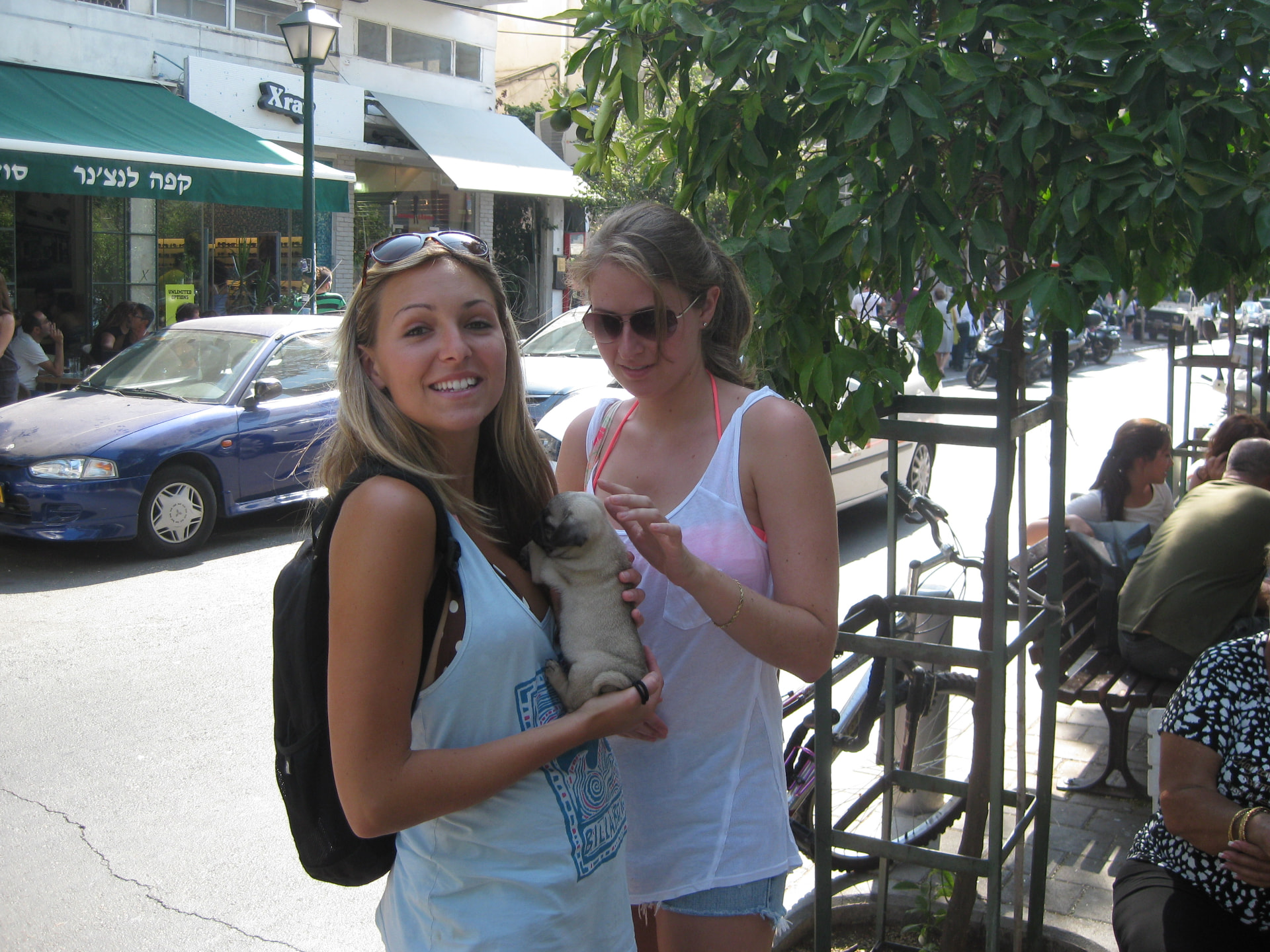 A new puppy in town, Israel
