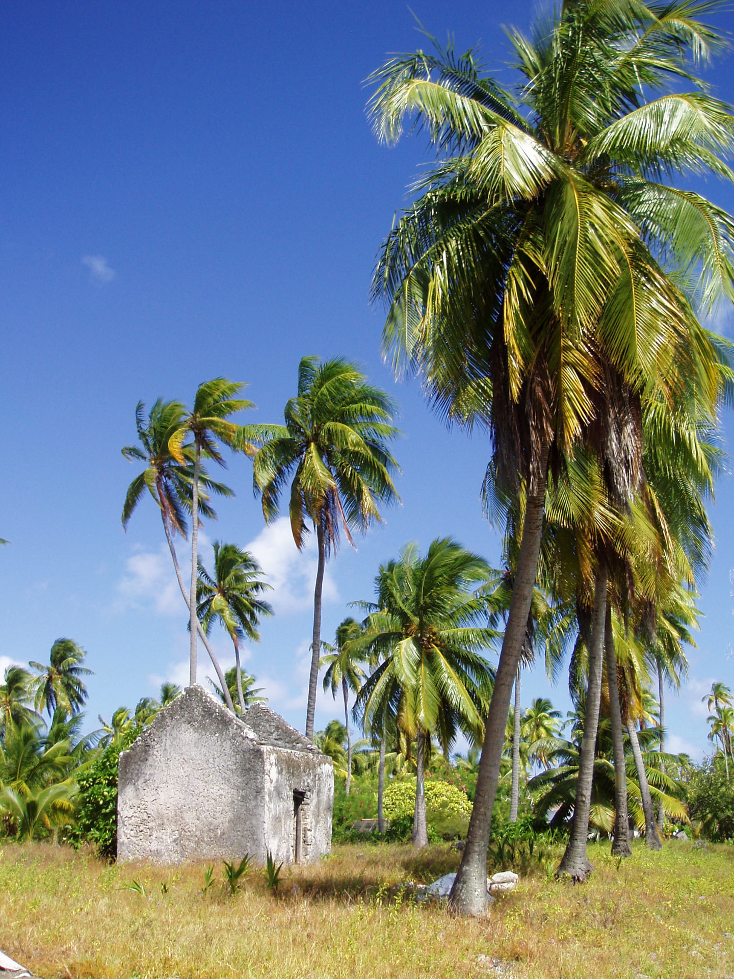 "Free Spirit" in Northern Cook Islands