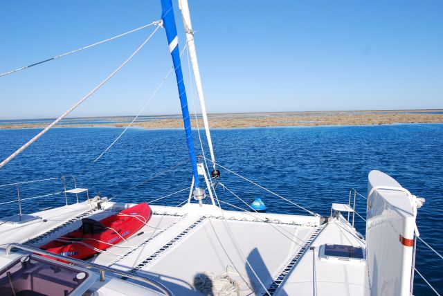 Bait Reef (Great Barrier)