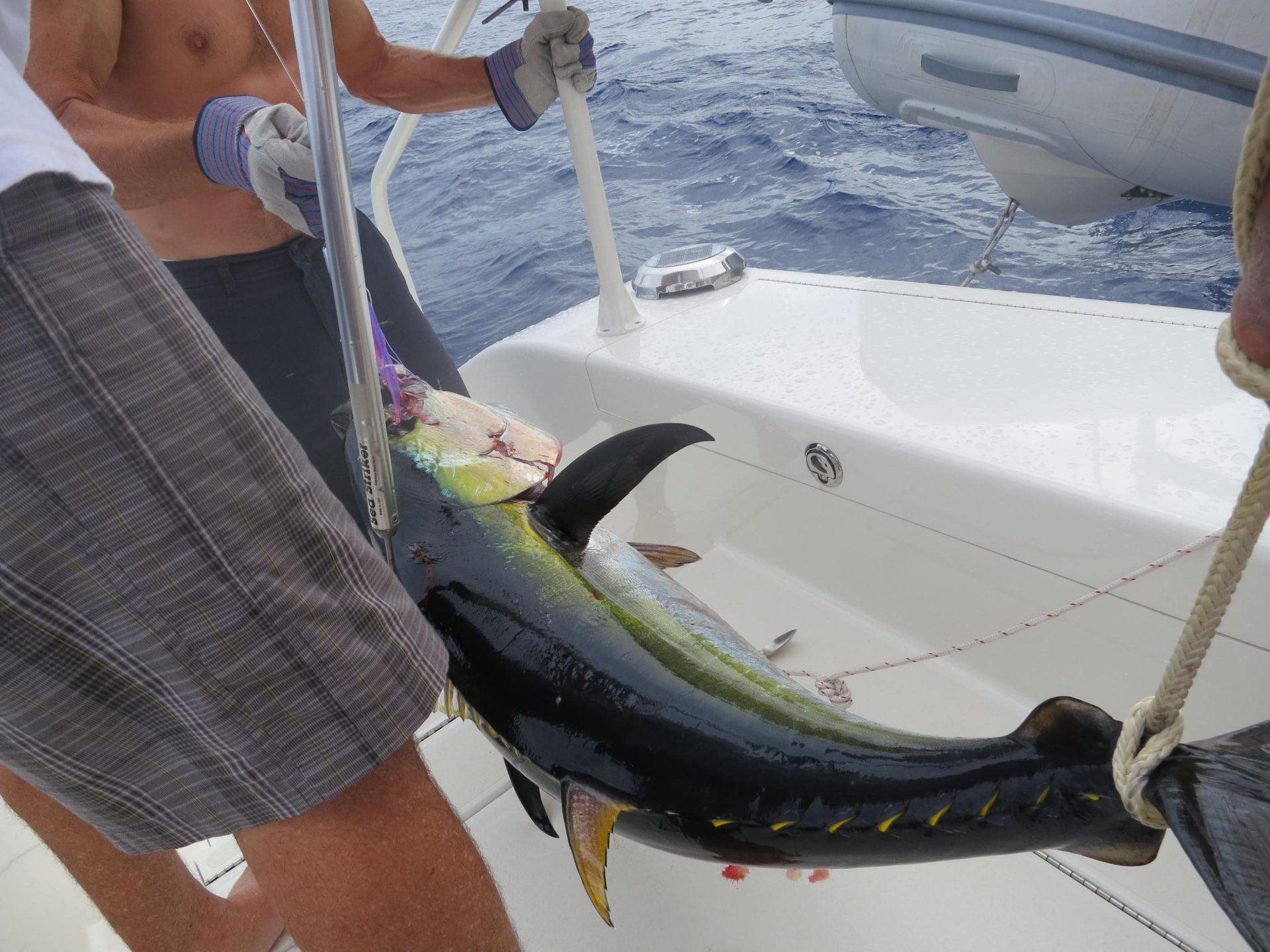 Marquesas to Hawaii crossing - Handline at 18kts