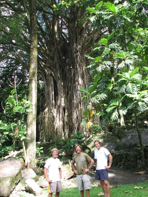 Russell, Max & Luke- 600 yr old tree, Nuku Hiva