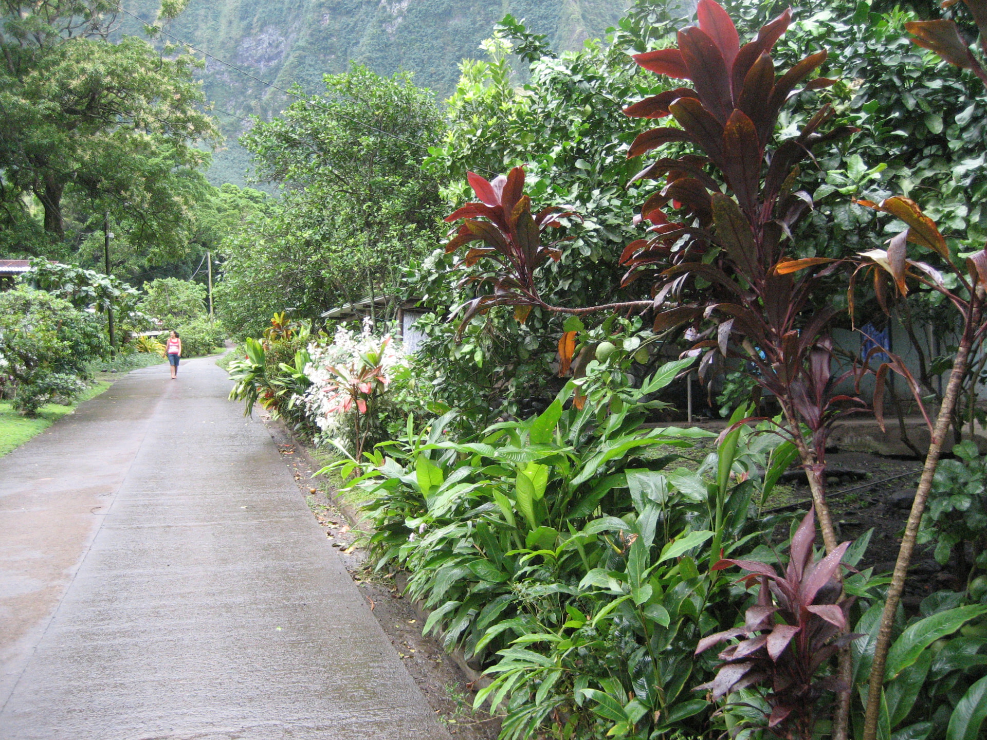 Marquesas Islands