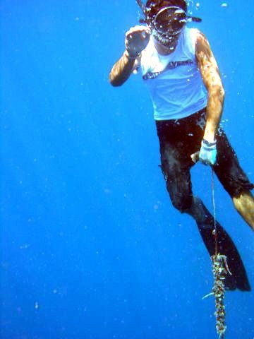 Diving for Black Pearls