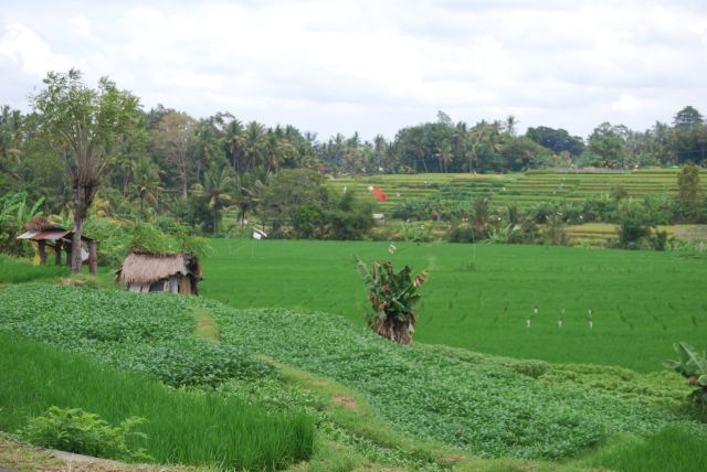 Bali Indonesia