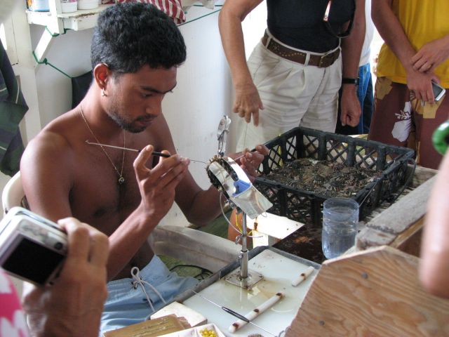 Tuamotus Islands